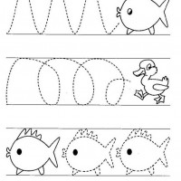 balık çizgi çalışması