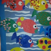 balık  Proje Çalişması