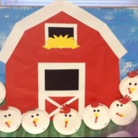 tavuk proje çalışması