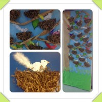 kuş sanat etkinliği