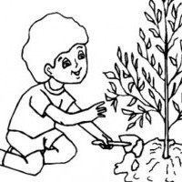 boyama-sayfalari-okuloncesi-1-275x200_c