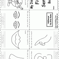 duyu-organları-çalışma-sayfası-1