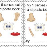 duyu-organları-çalışma-sayfası-2