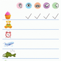 duyu-organları-çalışma-sayfası-4