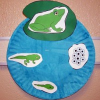 frog-life-cycle-craft