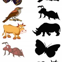 gölge-çalışma-sayfaları-10