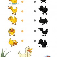 gölge-çalışma-sayfaları-19