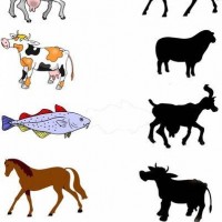 gölge-çalışma-sayfaları-25