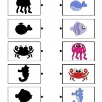 gölge-çalışma-sayfaları-6