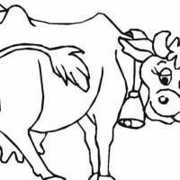 inekhayvanlarboyama8