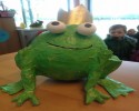 kurbağa (59)