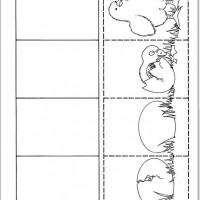 Life-Cycle-of-a-chicken-coloring-page