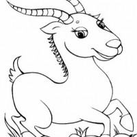 okul-oncesi-hayvan-resmi-boyama-sayfalari-ornekleri-15