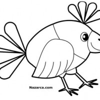 okul-oncesi-kuslu-boyama-sayfa