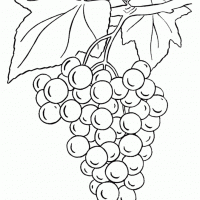 okul öncesinde boyma çalişması ve sanat etkinliği  (103)