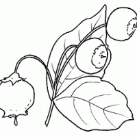 okul öncesinde boyma çalişması ve sanat etkinliği  (104)