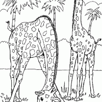 okul öncesinde boyma çalişması ve sanat etkinliği  (143)