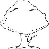 okul öncesinde boyma çalişması ve sanat etkinliği  (2)