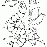 okul öncesinde boyma çalişması ve sanat etkinliği  (2)