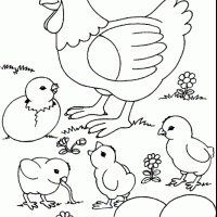 okul öncesinde boyma çalişması ve sanat etkinliği  (23)