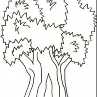 okul öncesinde boyma çalişması ve sanat etkinliği  (25)