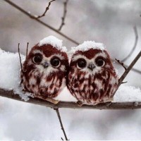 okul öncesinde boyma çalişması ve sanat etkinliği  (342)