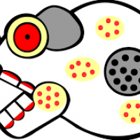 okul öncesinde boyma çalişması ve sanat etkinliği  (42)