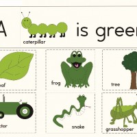 okul öncesinde boyma çalişması ve sanat etkinliği  (700)