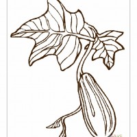 okul öncesinde boyma çalişması ve sanat etkinliği  (716)