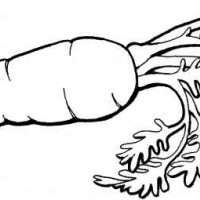 okul öncesinde boyma çalişması ve sanat etkinliği  (728)