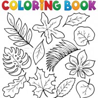 okul öncesinde sanat  etkınliği ve boyama çalışması (144)