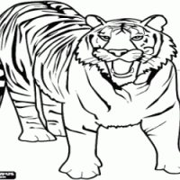 okul öncesinde sanat  etkınliği ve boyama çalışması (28)