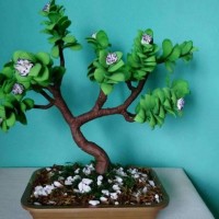 okul öncesinde sanat  etkınliği ve boyama çalışması (521)