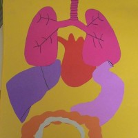 okul öncesinde sanat  etkınliği ve boyama çalışması (583)