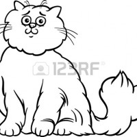 okul öncesinde sanat  etkınliği ve boyama çalışması (631)