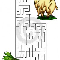 okul öncesinde sanat  etkınliği ve boyama çalışması (666)