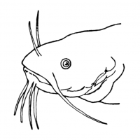 okul öncesinde sanat  etkınliği ve boyama çalışması (7)