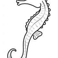 okul öncesinde sanat  etkınliği ve boyama çalışması (7)