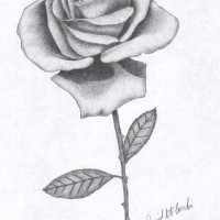 okul öncesinde sanat  etkınliği ve boyama çalışması (743)