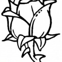 okul öncesinde sanat  etkınliği ve boyama çalışması (744)