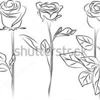 okul öncesinde sanat  etkınliği ve boyama çalışması (745)