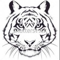 okul öncesinde sanat  etkınliği ve boyama çalışması (807)