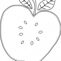 okul öncesinde sebze ve meyveler  (1)