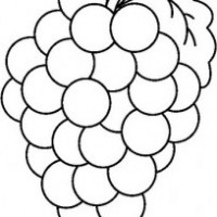 okul öncesinde sebze ve meyveler  (11)