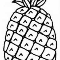 okul öncesinde sebze ve meyveler  (13)