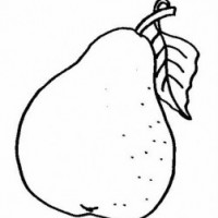 okul öncesinde sebze ve meyveler  (17)