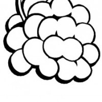 okul öncesinde sebze ve meyveler  (18)