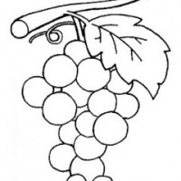 okul öncesinde sebze ve meyveler  (19)