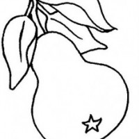 okul öncesinde sebze ve meyveler  (2)