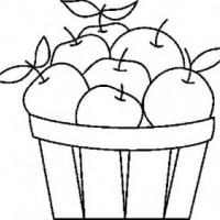 okul öncesinde sebze ve meyveler  (20)